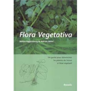 FLORA VEGETATIVA