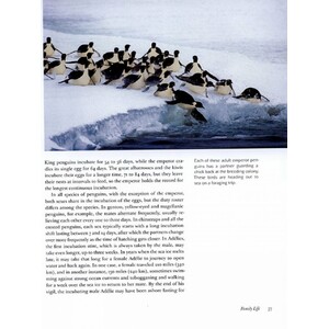 PENGUINS OF THE WORLD 3