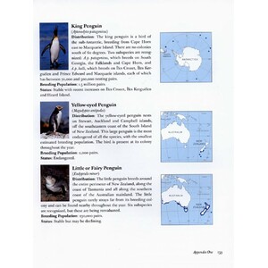 PENGUINS OF THE WORLD 4