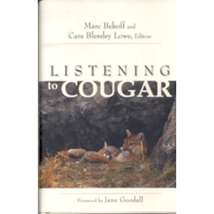 LISTENING TO COUGAR