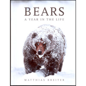 BEARS A YEAR IN THE LIFE