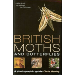 BRITISH MOTHS AND BUTTERFLIES
