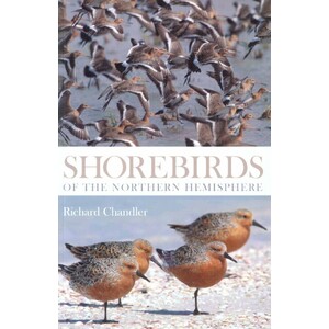 SHOREBIRDS OF THE NORTHERN HEMISPHERE