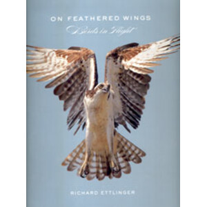 ON FEATHERED WINGS: BIRDS IN FLIGHT