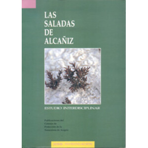 LAS SALADAS DE ALCAÑIZ