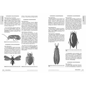 LOS INVERTEBRADOS FÓSILES (2 VOLÚMENES) 4