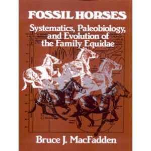 FOSSIL HORSES
