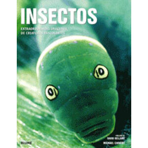 INSECTOS