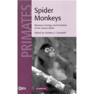 SPIDER MONKEYS