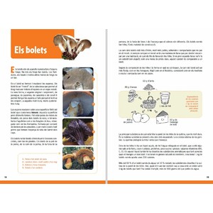 GUIA DE BOLETS PER A NOIS I NOIES 4