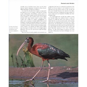 TOP 100 BIRDING SITES OF THE WORLD 3