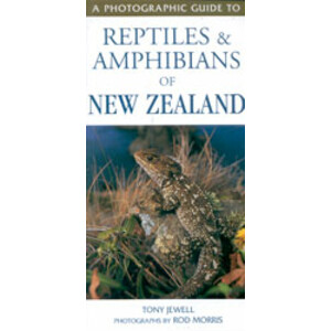 A PHOTOGRAPHIC GUIDE TO REPTILES AND AMPHIBIANS OF NEW ZEALAND