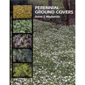 PERENNIAL GROUND COVERS