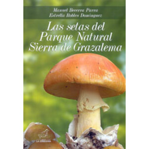 LAS SETAS DEL PARQUE NATURAL SIERRA DE GRAZALEMA
