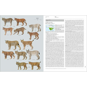 HANDBOOK OF THE MAMMALS OF THE WORLD. VOL. 1 CARNIVORES 4