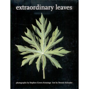 EXTRAORDINARY LEAVES