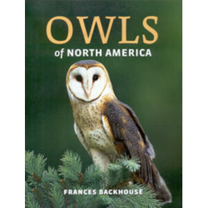 OWLS OF NORTH AMERICA