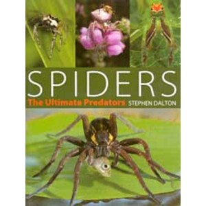 SPIDERS. THE ULTIMATE PREDATORS