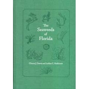 SEAWEEDS OF FLORIDA