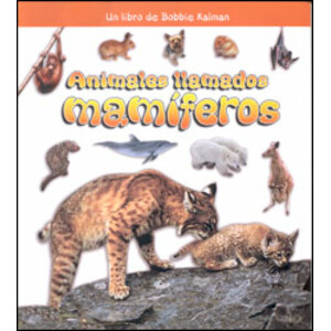 ANIMALES LLAMADOS MAMÍFEROS