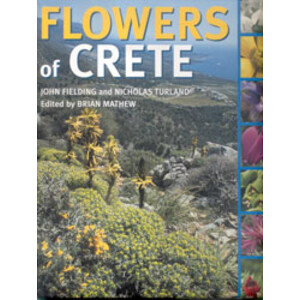 FLOWERS OF CRETE