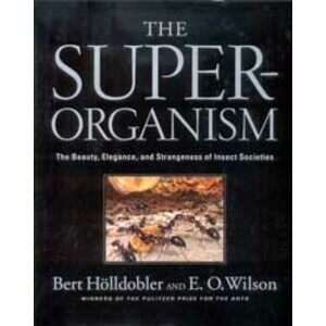 THE SUPERORGANISM. THE BEAUTY, ELEGANCE AND STRANGENESS OF INSECT SOCIETIES