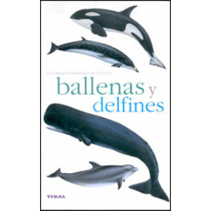 BALLENAS Y DELFINES 1