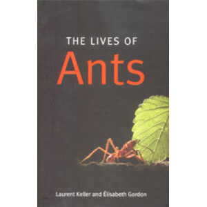 THE LIVES OF ANTS
