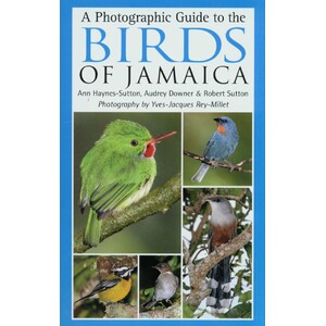 A PHOTOGRAPHIC GUIDE TO THE BIRDS OF JAMAICA