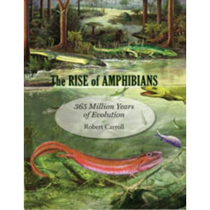 THE RISE OF AMPHIBIANS