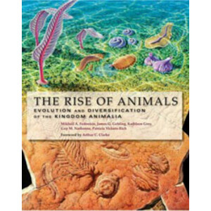 THE RISE OF ANIMALS