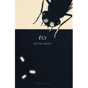 FLY