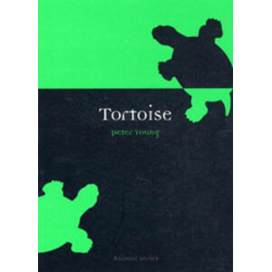 TORTOISE