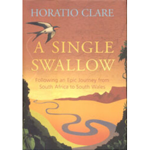 A SINGLE SWALLOW. FOLLOWING AN EPIC JOURNEY FROM SOUTH AFRICA TO SOUTH WALES