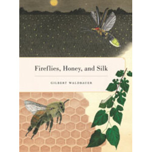 FIREFLIES, HONEY AND SILK