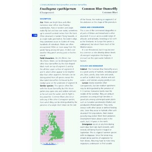 FIELD GUIDE TO THE DRAGONFLIES AND DAMSELFLIES OF GREAT BRITAIN AND IRELAND 6