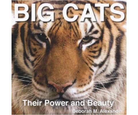 BIG CATS. THEIR POWER AND BEAUTY