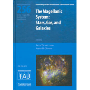 THE MAGELLANIC SYSTEM: STARS, GAS, GALAXIES