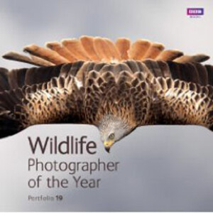 WILDLIFE PHOTOGRAPHER OF THE YEAR. PORTFOLIO 19