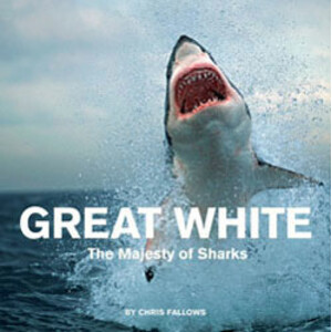GREAT WHITE. THE MAJESTY OF SHARKS