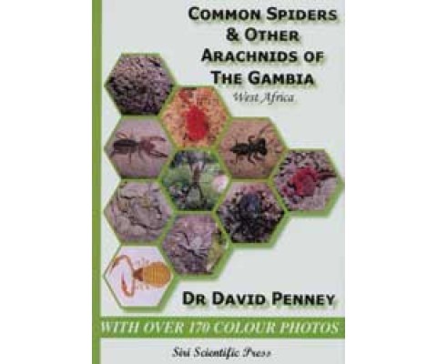 COMMON SPIDERS AND OTHER ARACHNIDS OF THE GAMBIA, WEST AFRICA