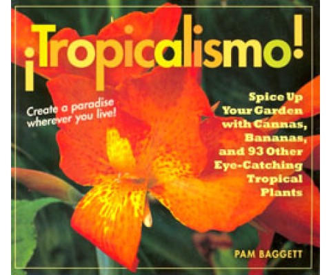 TROPICALISMO!