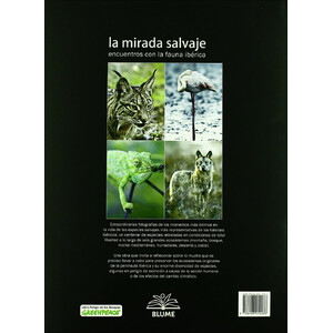 LA MIRADA SALVAJE_1