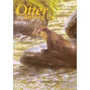 THE OTTER AMONG US