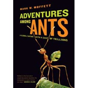 ADVENTURES AMONG ANTS. A GLOBAL SAFARI WITH A CAST OF TRILLIONS