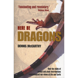 HERE BE DRAGONS
