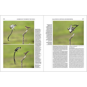 HANDBOOK OF THE BIRDS OF THE WORLD, VOL. 15 . WEAVERS TO  NEW WORLD WARBLERS_1