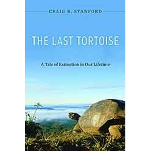 THE LAST TORTOISE. A TALE OF EXTINCTION IN OUR LIFETIME