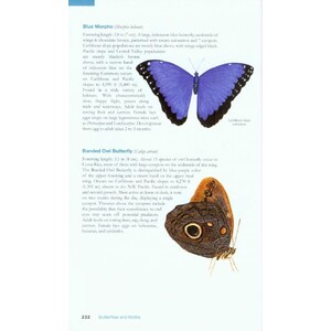 THE WILDLIFE OF COSTA RICA. A FIELD GUIDE 5