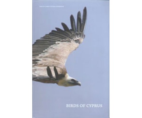 BIRDS OF CYPRUS